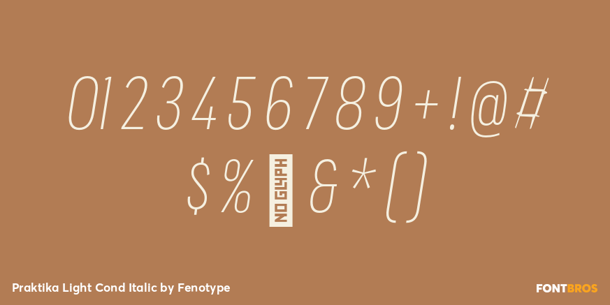 Praktika Light Cond Italic Font Poster #4