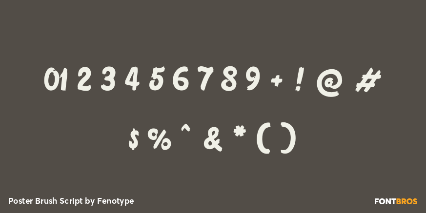 Poster Brush Script Font Poster #4