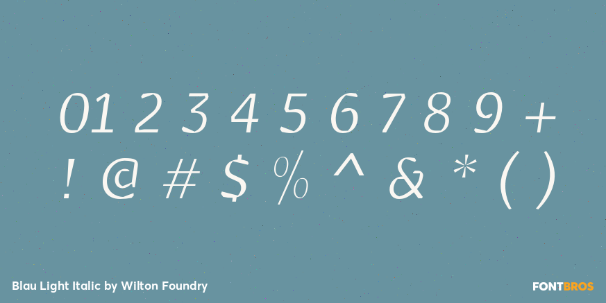 Blau Light Italic Font Poster #1