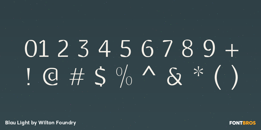 Blau Light Font Poster #4