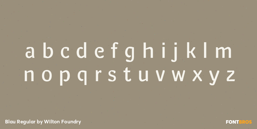 Blau Regular Font Poster #1