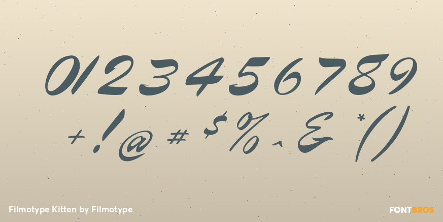 Filmotype Kitten Font Poster #4