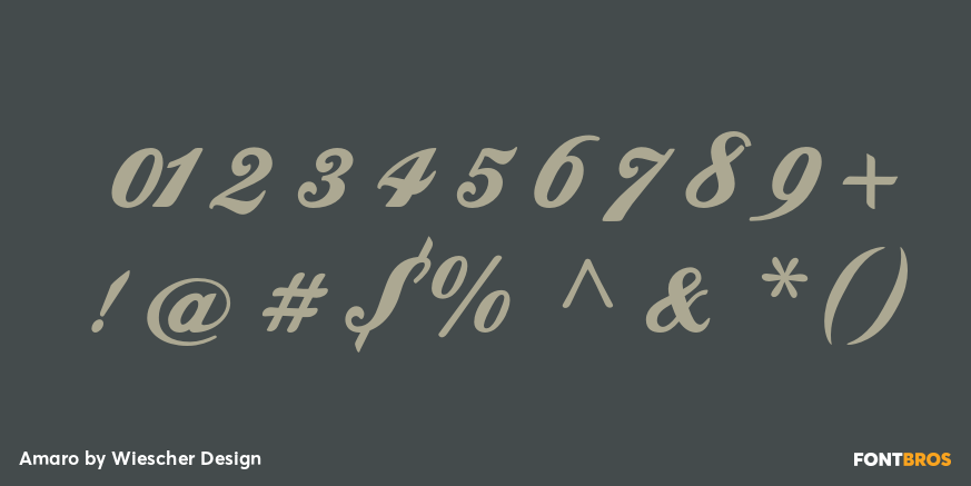 Amaro Font Poster #1