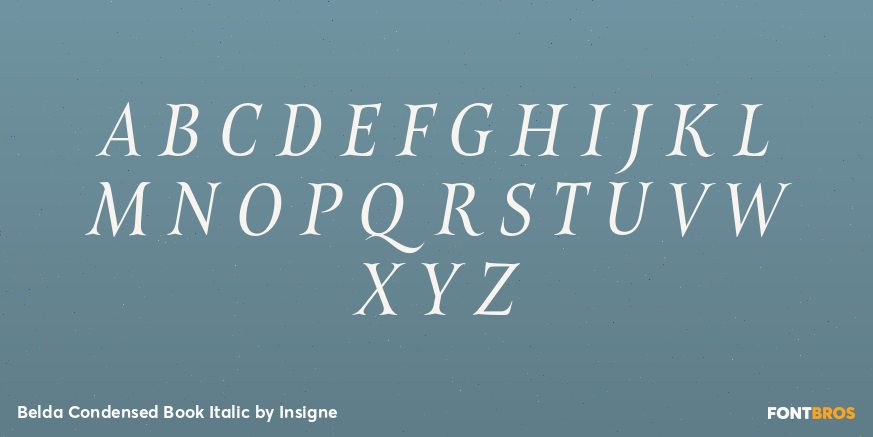 Belda Condensed Book Italic Font Poster #2