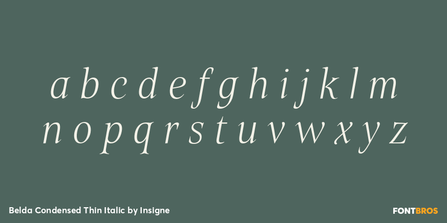 Belda Condensed Thin Italic Font Poster #3