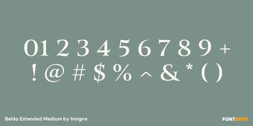 Belda Extended Medium Font Poster #4