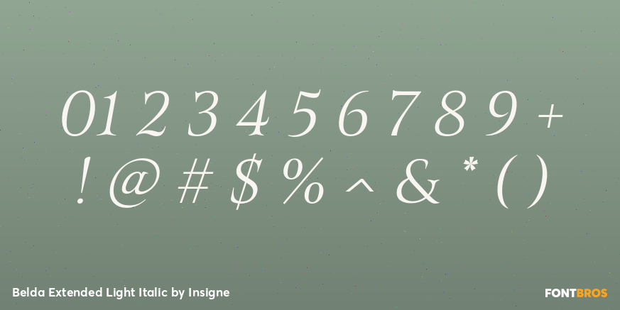 Belda Extended Light Italic Font Poster #1