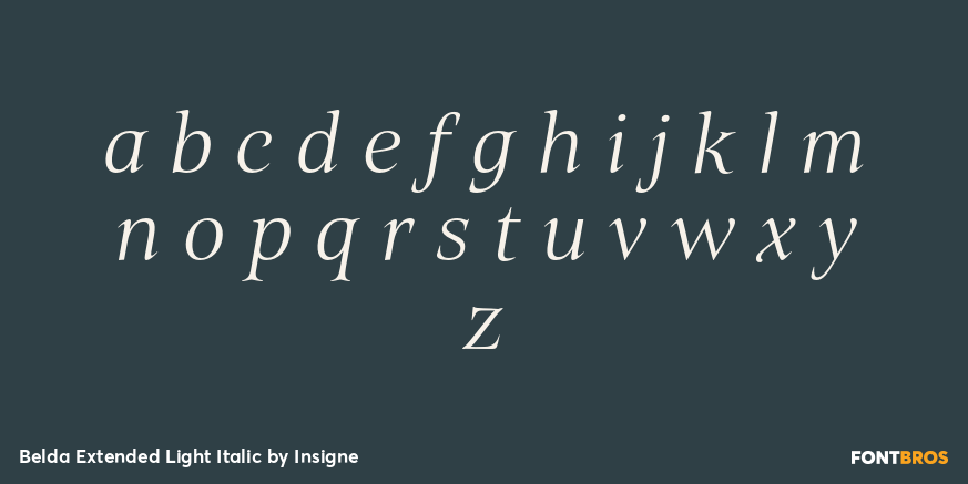 Belda Extended Light Italic Font Poster #3