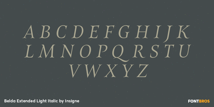 Belda Extended Light Italic Font Poster #1