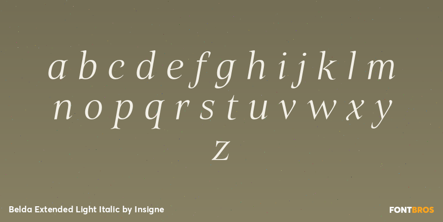 Belda Extended Light Italic Font Poster #1
