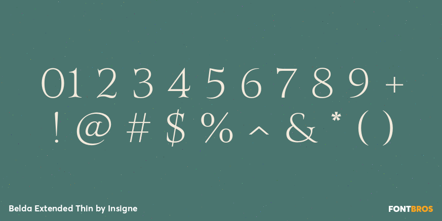 Belda Extended Thin Font Poster #1