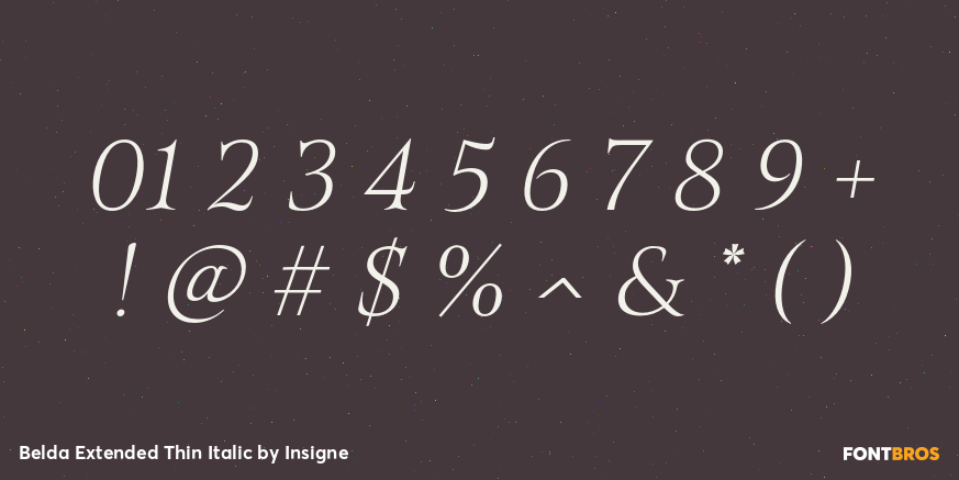 Belda Extended Thin Italic Font Poster #1