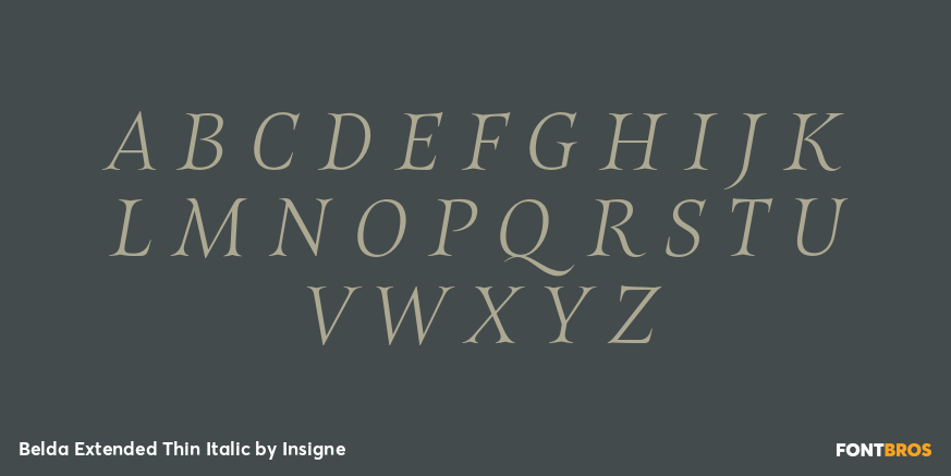 Belda Extended Thin Italic Font Poster #1