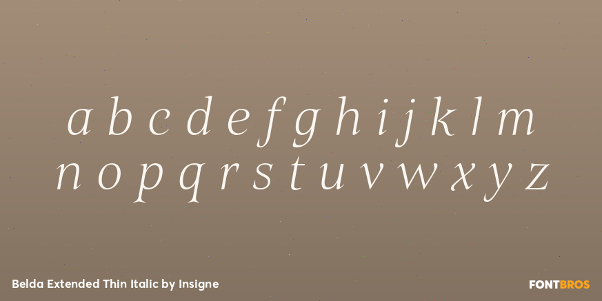 Belda Extended Thin Italic Font Poster #1