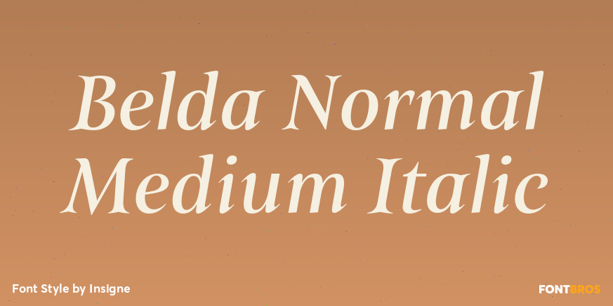 Belda Normal Medium Italic Font Poster #1