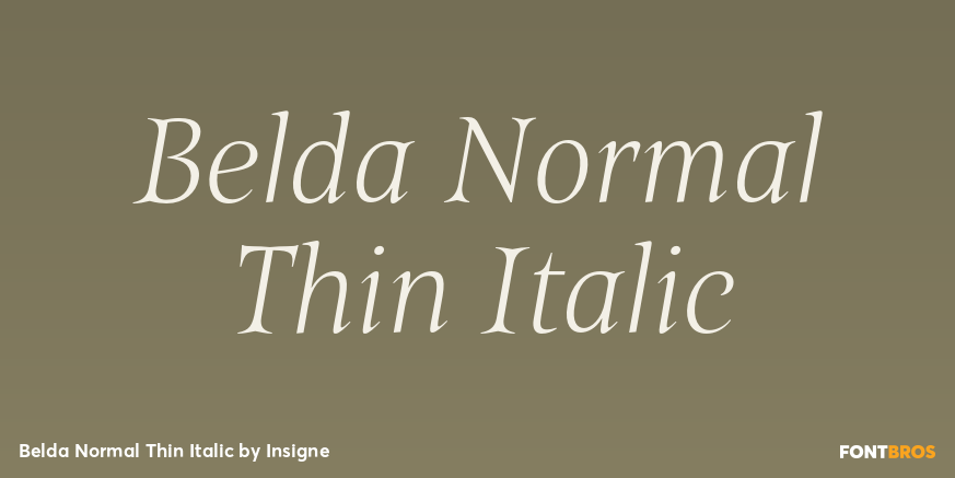 Belda Normal Thin Italic Font Poster #1