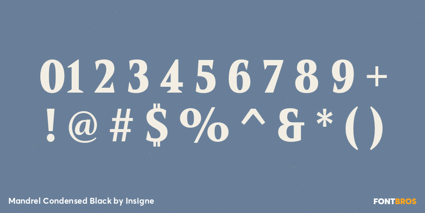 Mandrel Condensed Black Font Poster #1