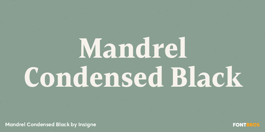 Mandrel Condensed Black Font Poster #1