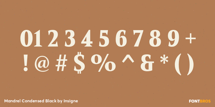 Mandrel Condensed Black Font Poster #4