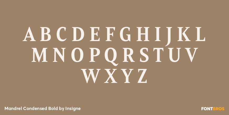 Mandrel Condensed Bold Font Poster #2