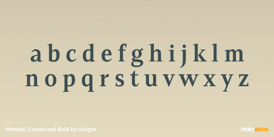 Mandrel Condensed Bold Font Poster #3