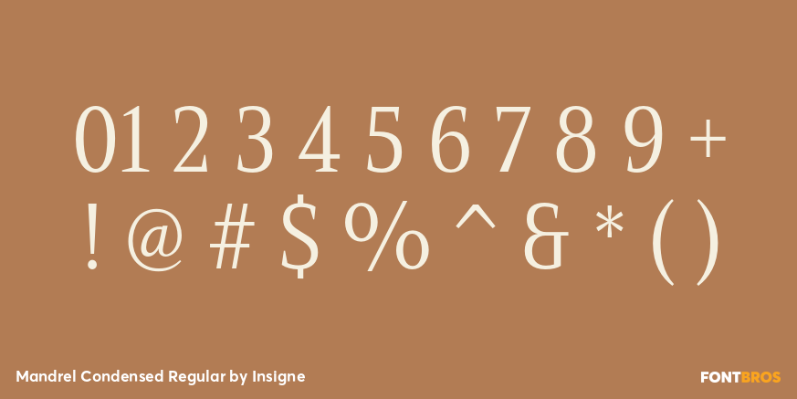 Mandrel Condensed Regular Font Poster #1