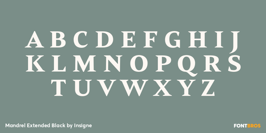 Mandrel Extended Black Font Poster #2