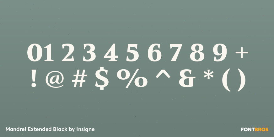 Mandrel Extended Black Font Poster #4