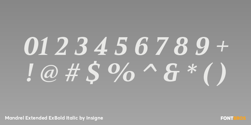 Mandrel Extended ExBold Italic Font Poster #4