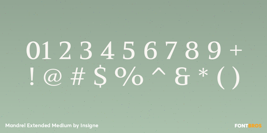 Mandrel Extended Medium Font Poster #1