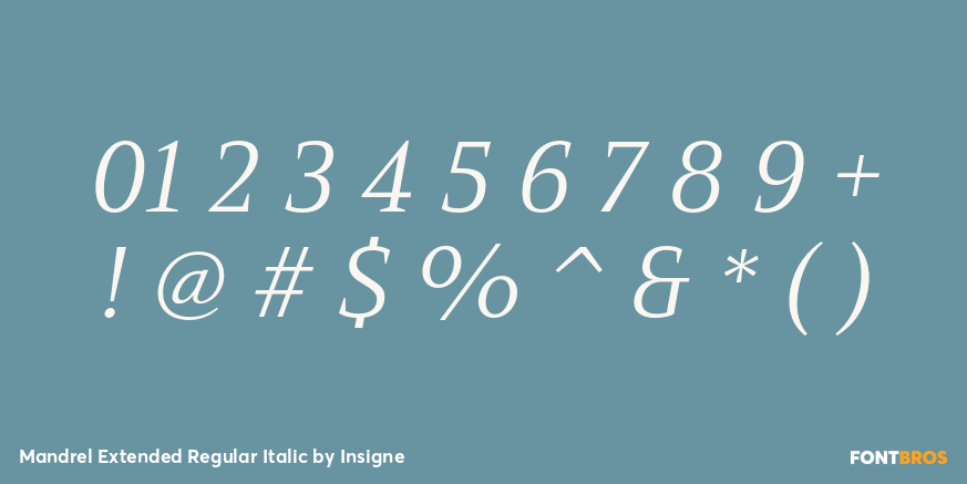 Mandrel Extended Regular Italic Font Poster #4