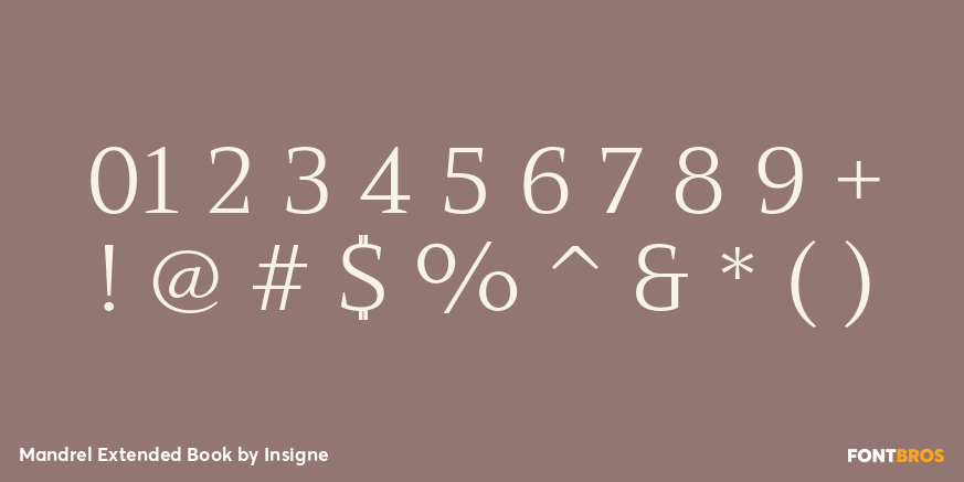 Mandrel Extended Book Font Poster #4