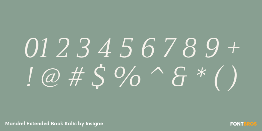 Mandrel Extended Book Italic Font Poster #1
