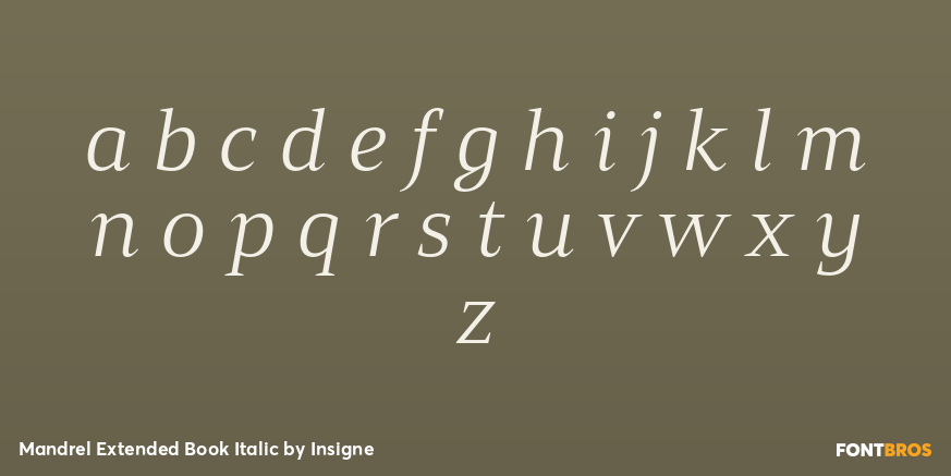 Mandrel Extended Book Italic Font Poster #1