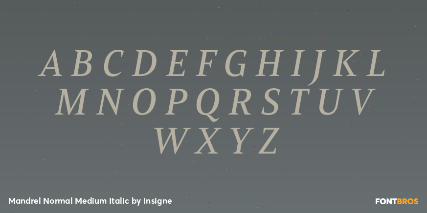 Mandrel Normal Medium Italic Font Poster #1