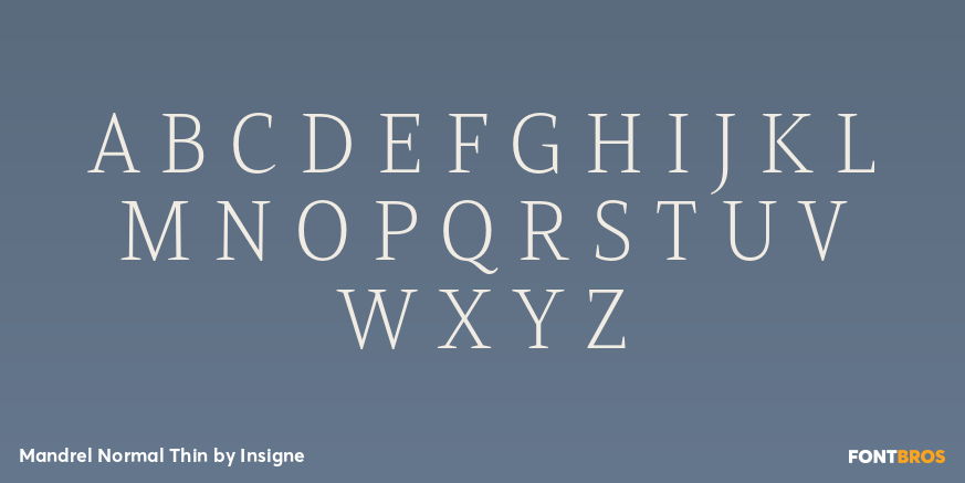 Mandrel Normal Thin Font Poster #1