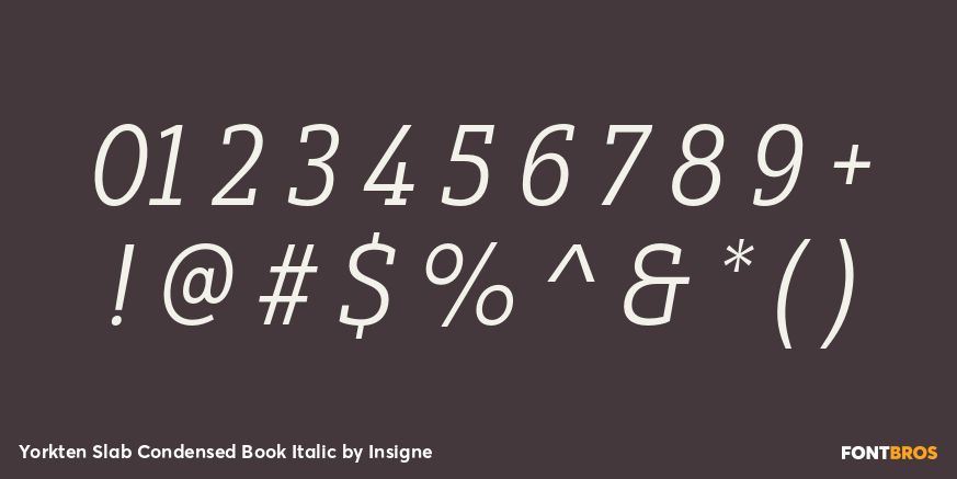 Yorkten Slab Condensed Book Italic Font Poster #4