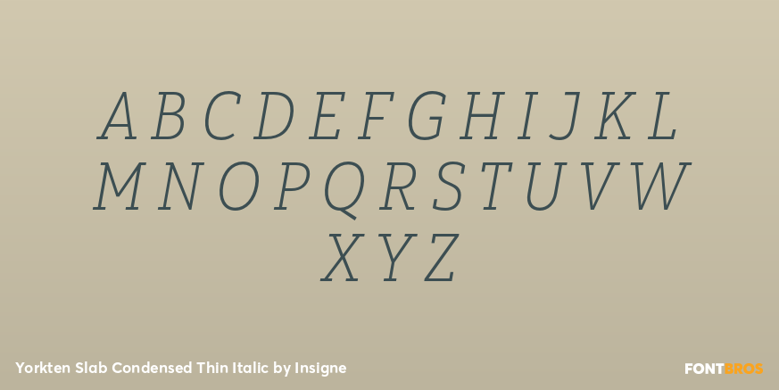 Yorkten Slab Condensed Thin Italic Font Poster #2