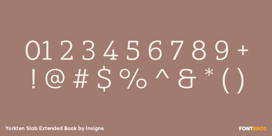 Yorkten Slab Extended Book Font Poster #1