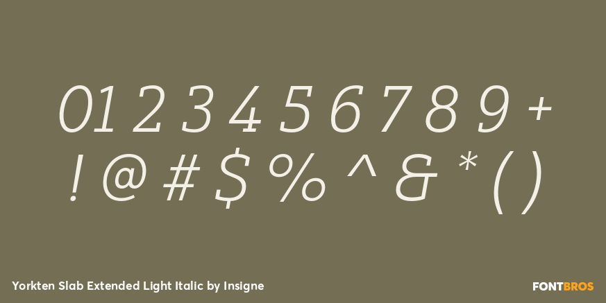 Yorkten Slab Extended Light Italic Font Poster #4