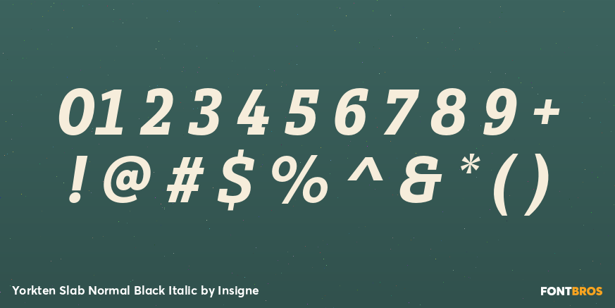 Yorkten Slab Normal Black Italic Font Poster #4