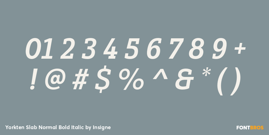 Yorkten Slab Normal Bold Italic Font Poster #4
