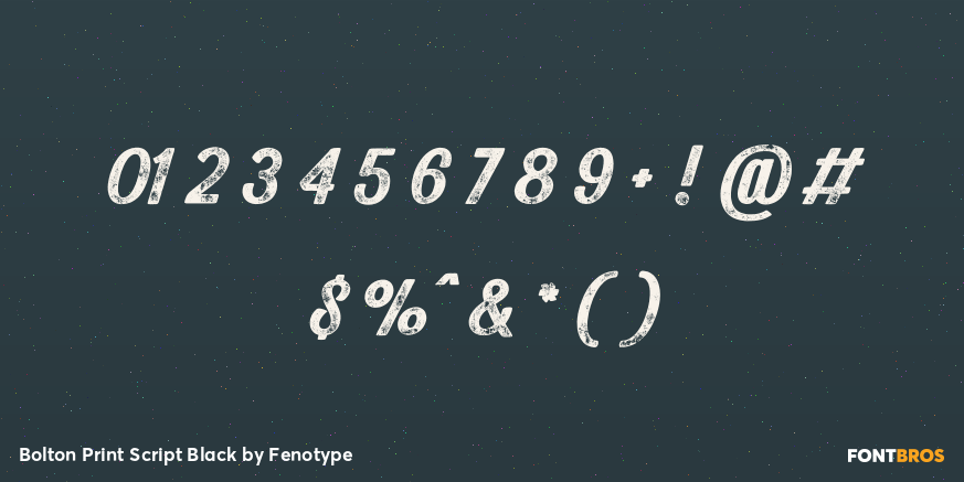 Bolton Print Script Black Font Poster #4