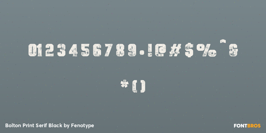 Bolton Print Serif Black Font Poster #4