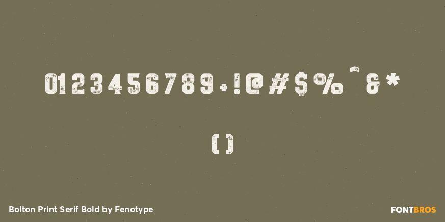 Bolton Print Serif Bold Font Poster #1