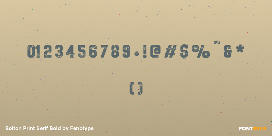 Bolton Print Serif Bold Font Poster #4