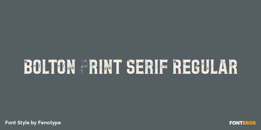 Bolton Print Serif Regular Poster