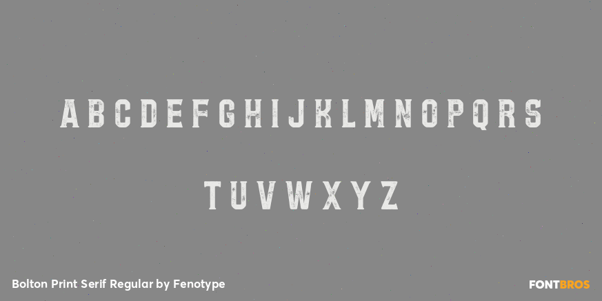 Bolton Print Serif Regular Font Poster #3