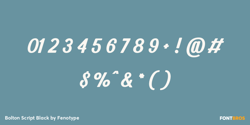 Bolton Script Black Font Poster #4