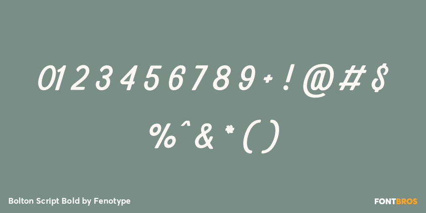Bolton Script Bold Font Poster #4